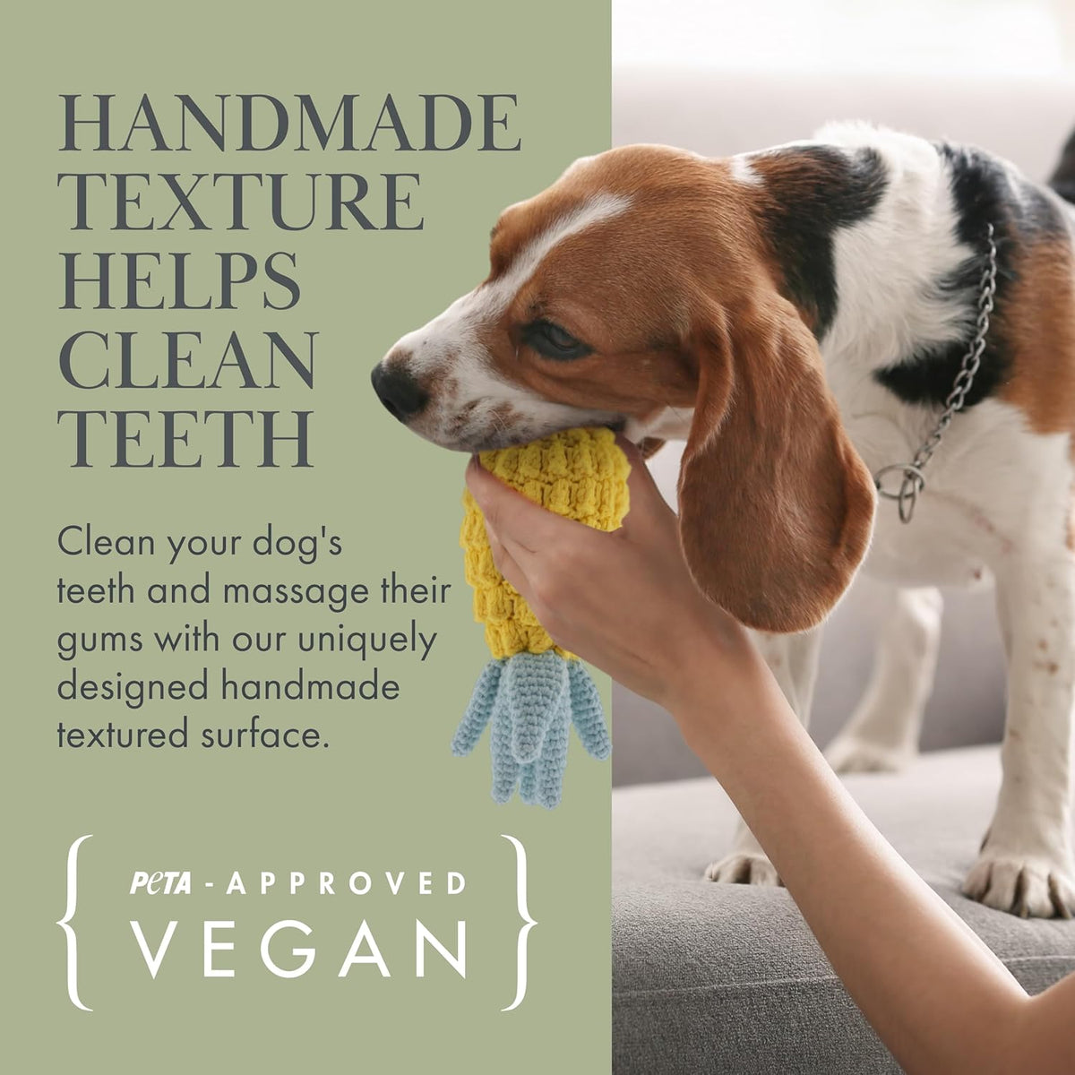 Organic Veggie Toys Bundle