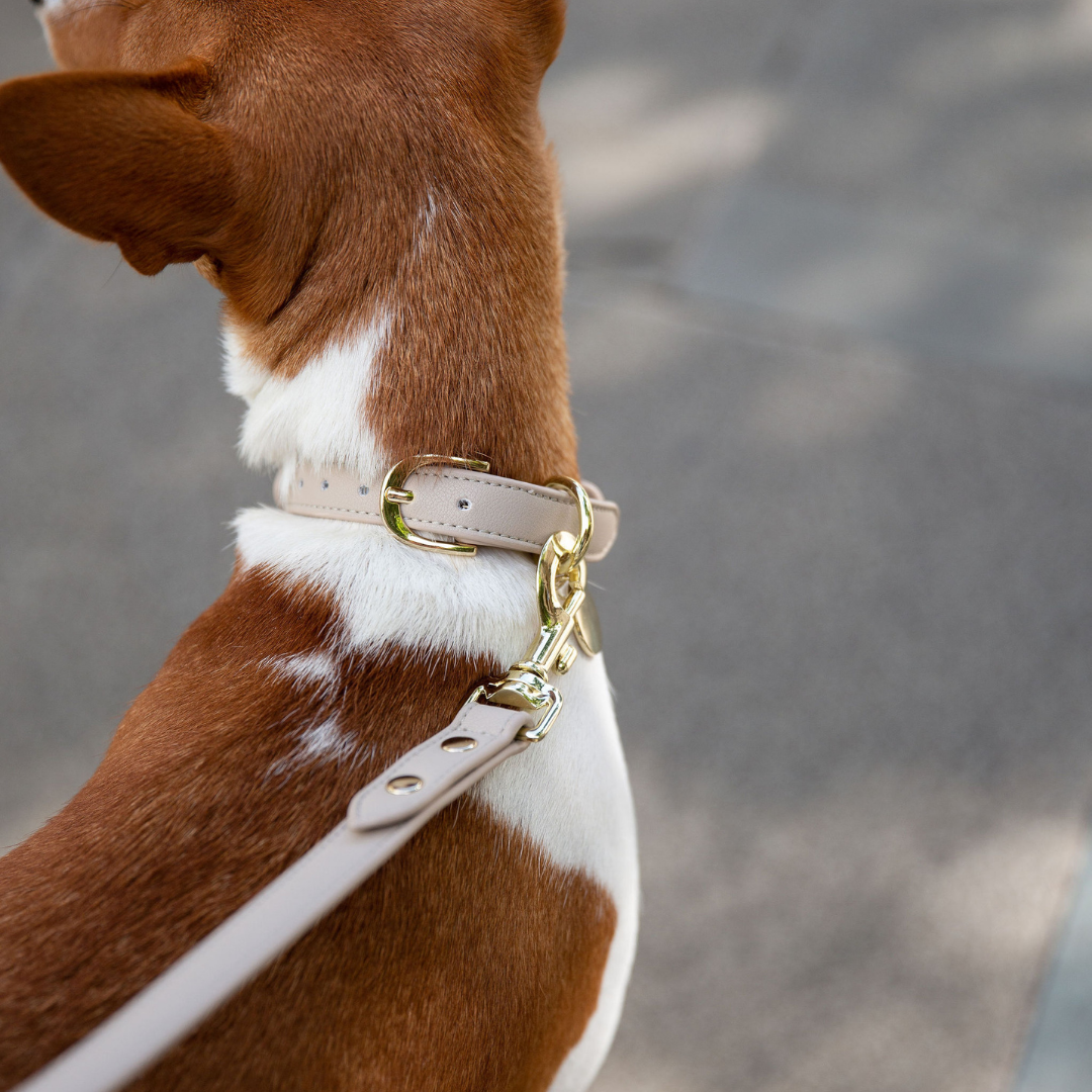 Collier beige