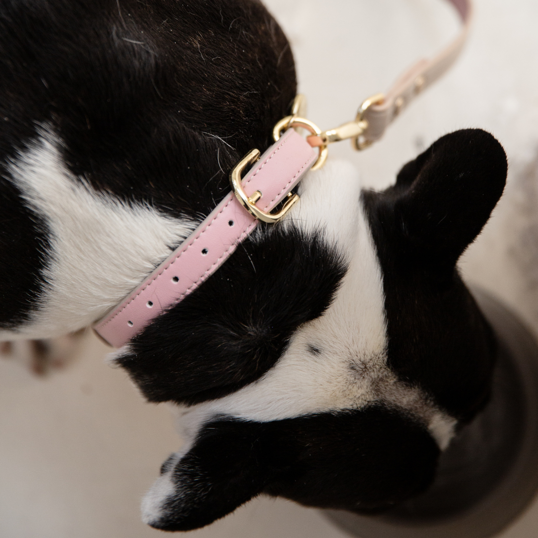 Airtag Collar Pink