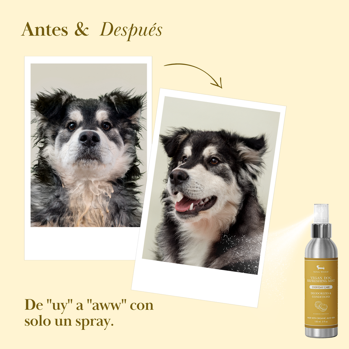 Spray Désodorisant Été