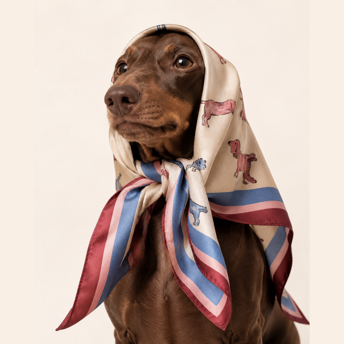 Hot Dog Summer Scarf