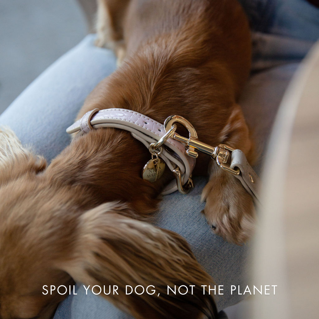 Lilac Leash