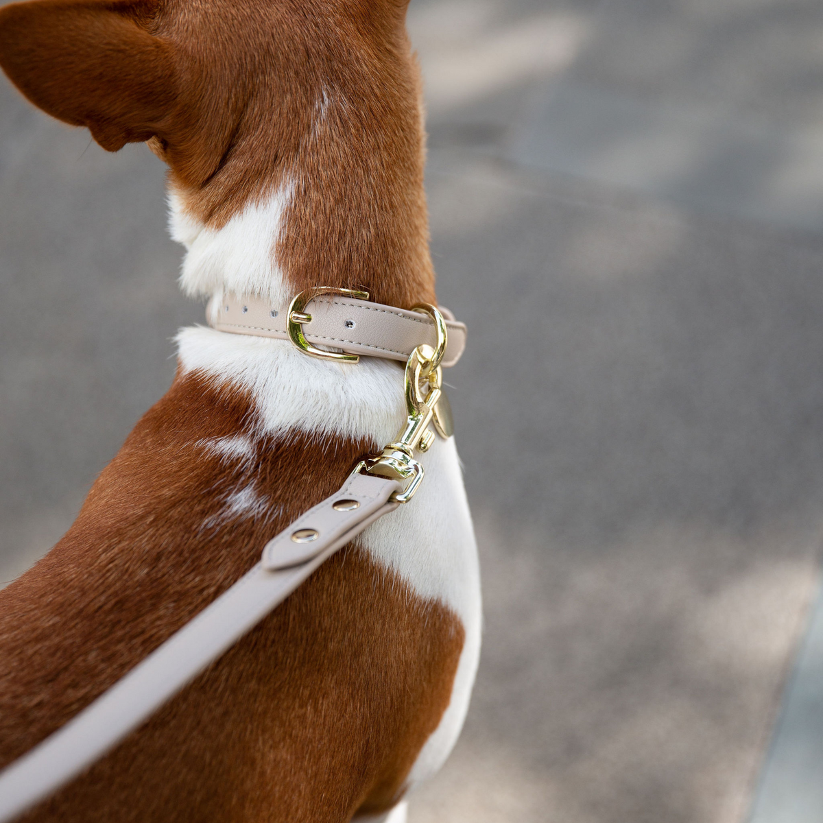 Collier Airtag Beige