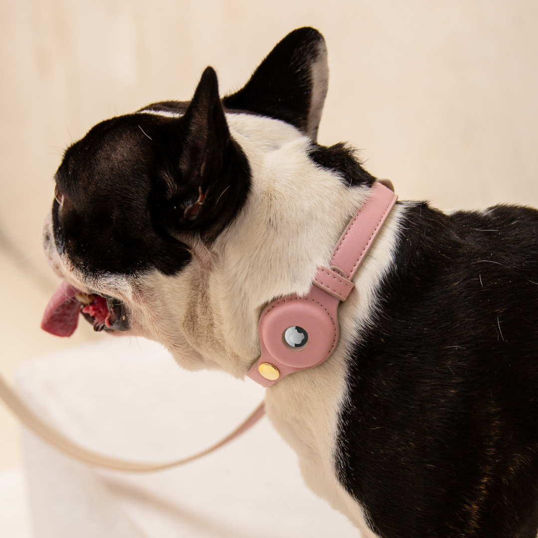 Airtag Collar Pink