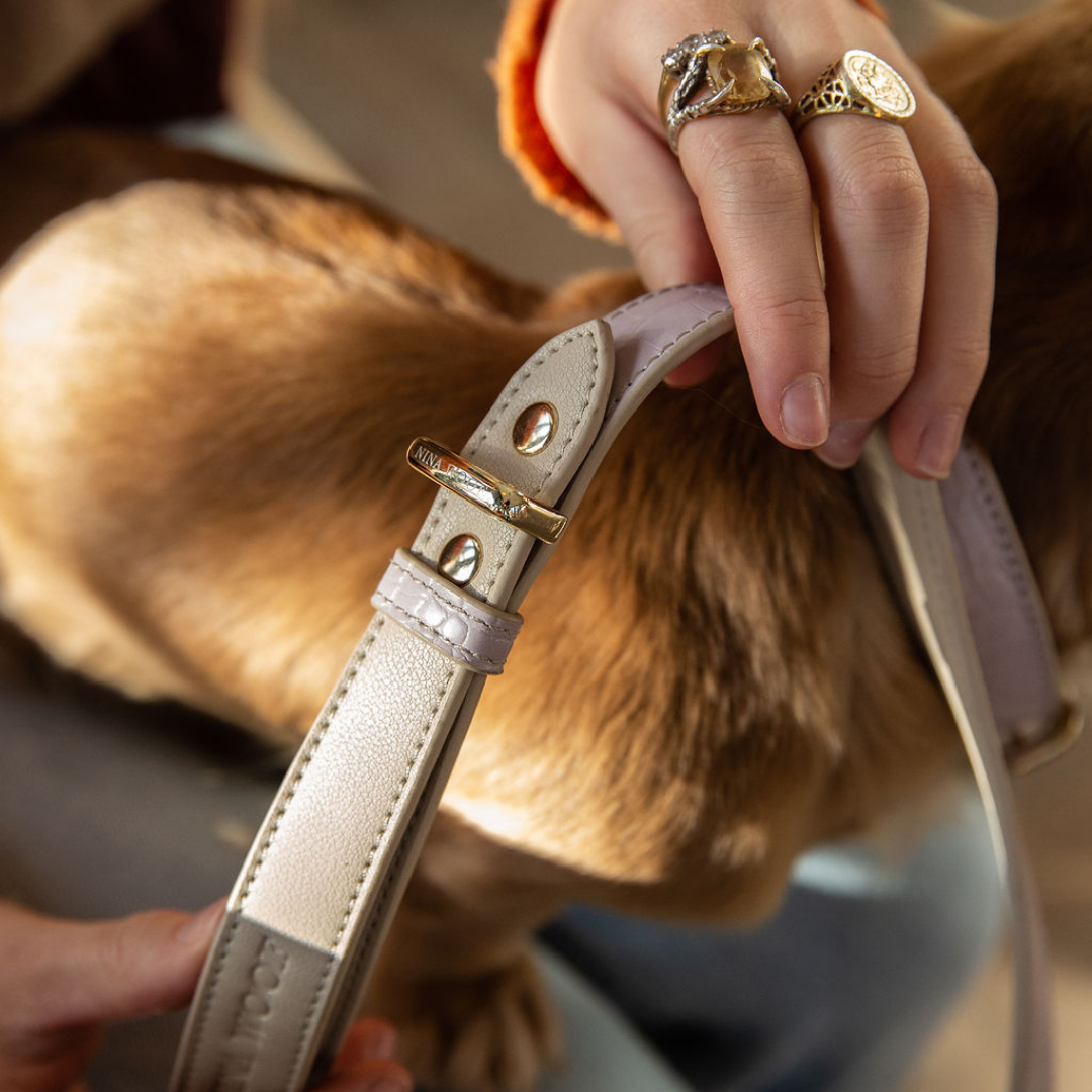 Lilac Leash