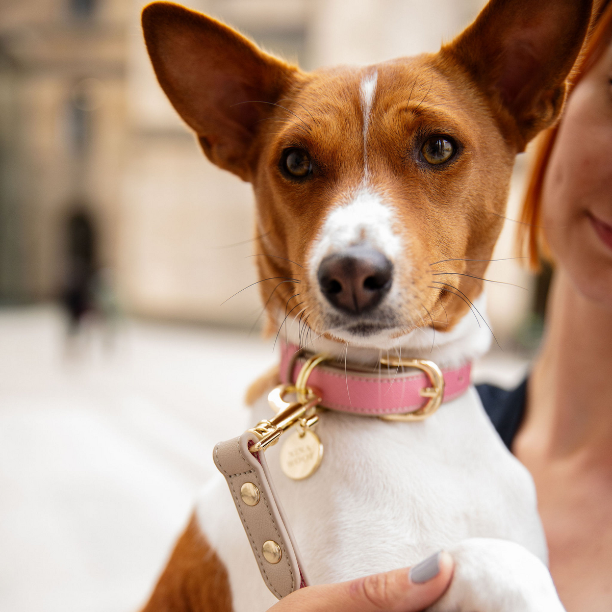 Collar - Vegan Leather - Rio